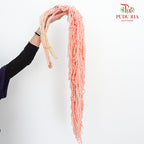 Preservative Amaranthus Pink - Pudu Ria Florist Southern