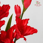 CNY Artificial Gladiolus 92cm - Red (2 Stems)