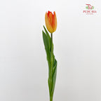 Tulip Orange 郁金香 - (8-10 Stems)