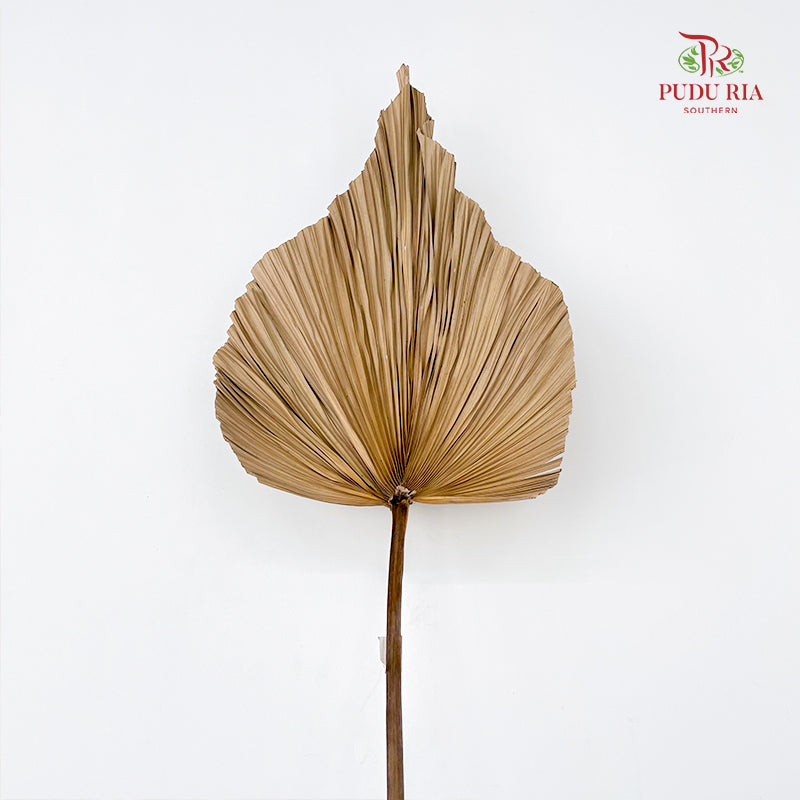 Robusta XL - (Per Stem)