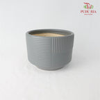 XR-886-H Pot Grey