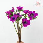 Anemone Hupehensis Purple 银莲花 - (Per Bundle)