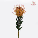 Leucospermum Orange - (2 Stems)
