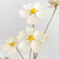 Dry Violet Love Shape - Center Yellow