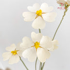 Dry Violet Love Shape - Center Yellow