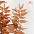 Dry Ruscus Dyed - Gold