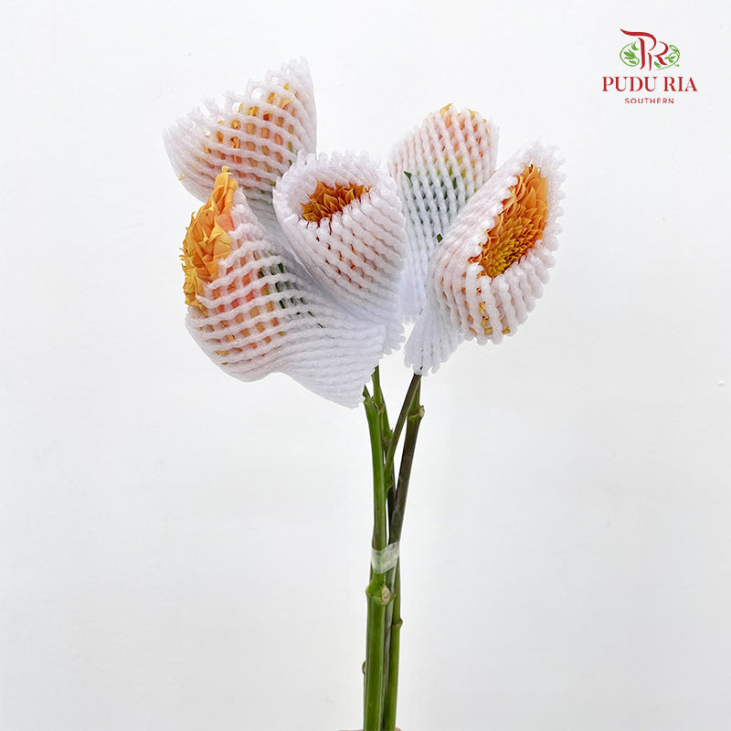 Dahlia Gold - (Per Bundle)
