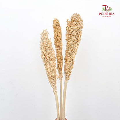 Dry Sorghum - Natural