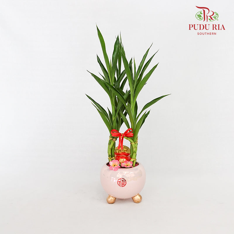 CNY Potted Plant Arrangement 2024#13