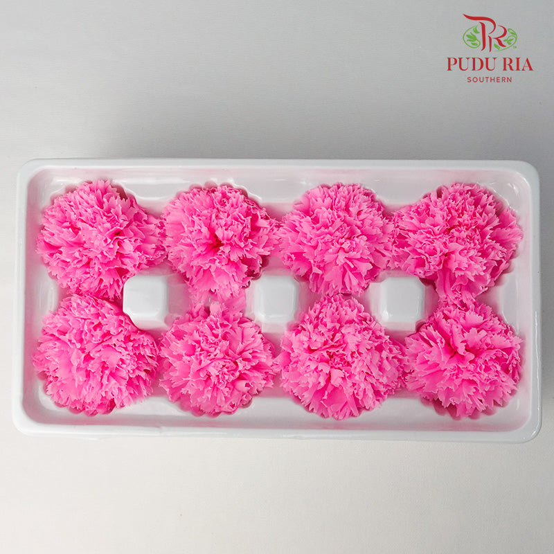 8 Bloom Carnation - Pink - Pudu Ria Florist Southern