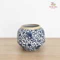 GXD36 Qing Hua Pot