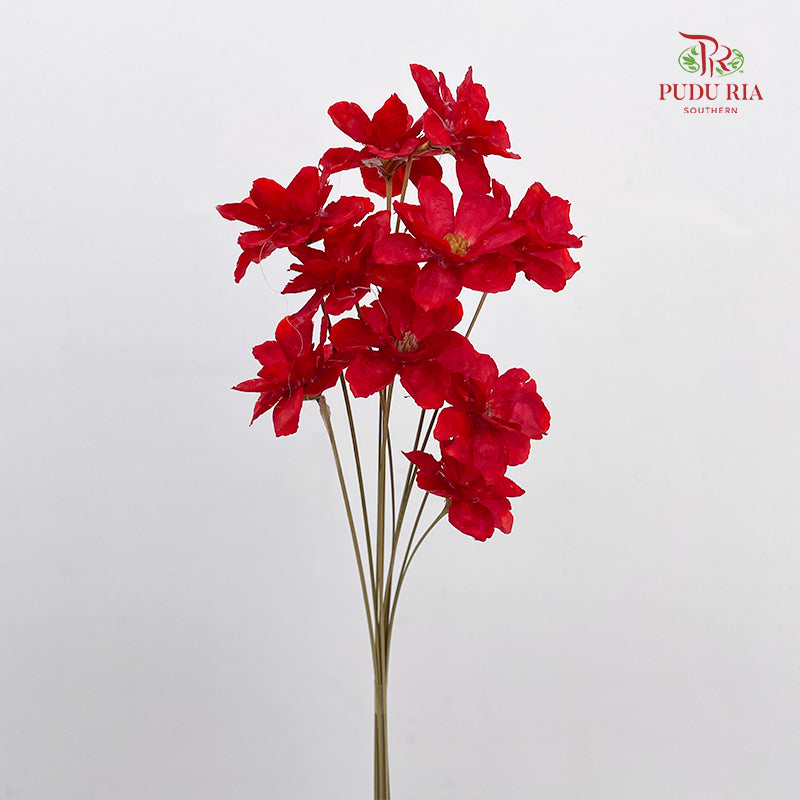 Dry New Wax Flower - Red