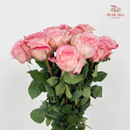 Rose Joyce - (10-12 Stems)