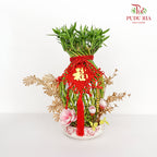 CNY Arrangement 2024#30