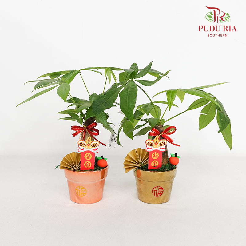 CNY Potted Plant Arrangement 2024#28