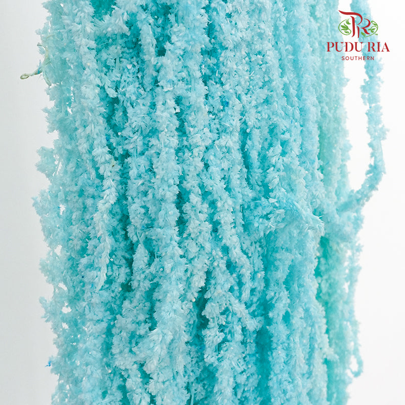 Preservative Amaranthus Blue - Pudu Ria Florist Southern