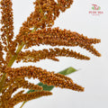 Amaranthus Straight Orange 刺苋 - (Per Bundle)