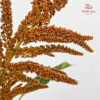 Amaranthus Straight Orange 刺苋 - (Per Bundle)