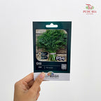 Flowers & Herbs Seeds