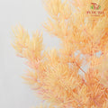 Preservative Asparagus Fern Champagne - Pudu Ria Florist Southern