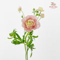 Ranunculus Butterfly Pink 蝴蝶洋牡丹 - (5 Stems)