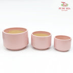 XR-886-H Pot Light Pink