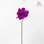 Anemone Hupehensis Purple 银莲花 - (Per Bundle)