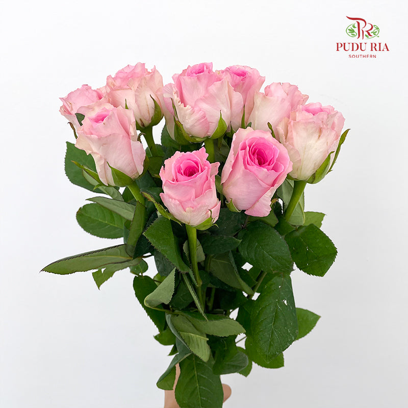 Rose Mandala - (8-10 Stems)