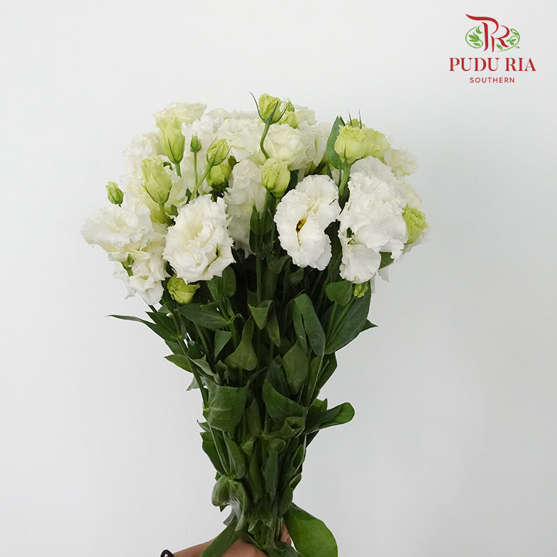 Eustoma Wave White  (12-15 Stems) - Pudu Ria Florist Southern