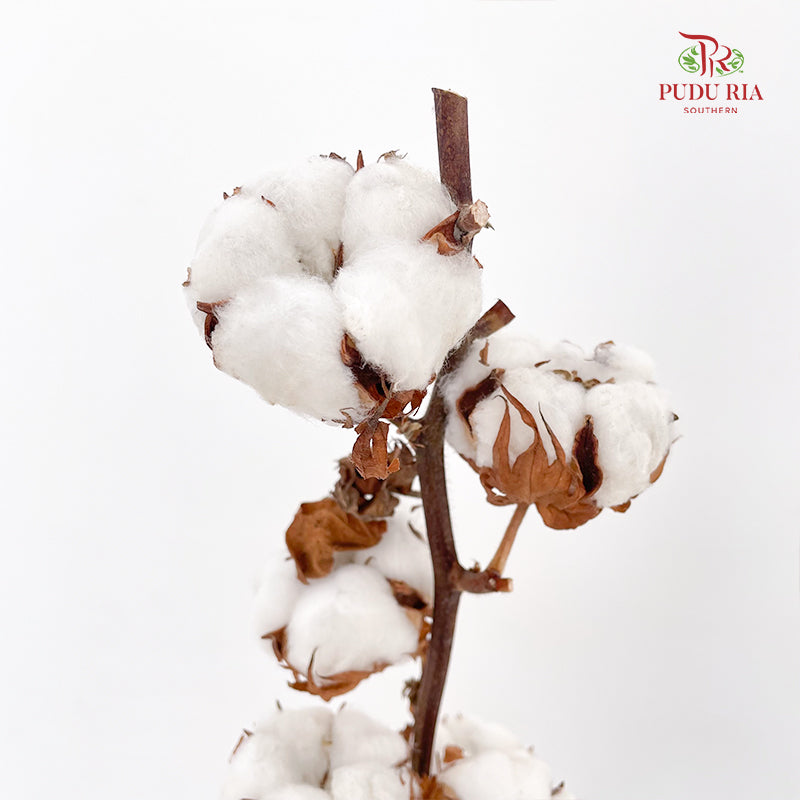 Artificial Cotton Flower - Per Stem