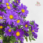 Hana Purple - (Per Bundle)