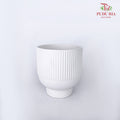 TY-8815 Pot