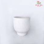 TY-8815 Pot