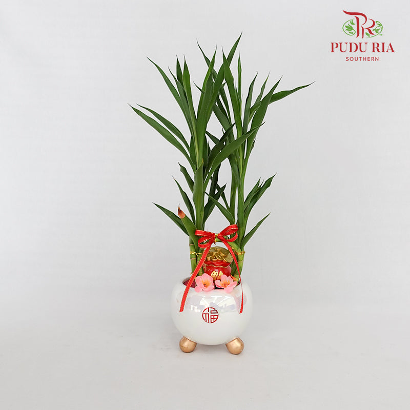 CNY Potted Plant Arrangement 2024#13