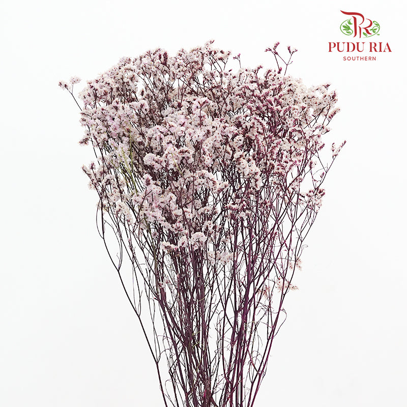 Dry Caspia - Light Purple