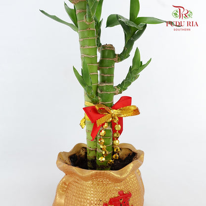 CNY Potted Plant Arrangement 2024#4