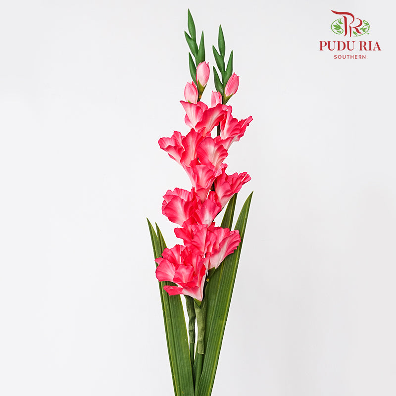 CNY Artificial Gladiolus 92cm -  Pink (2 Stems)