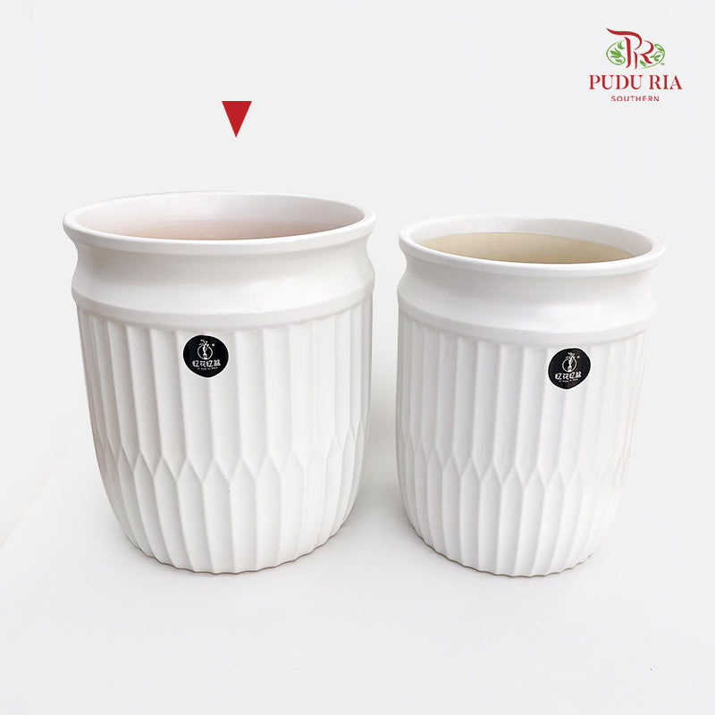 SB-C-02 White Pot