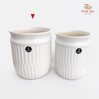 SB-C-02 White Pot