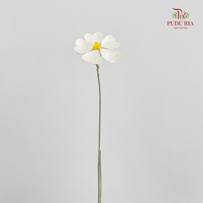 Dry Violet Love Shape - Center Yellow