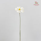 Dry Violet Love Shape - Center Yellow