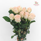 Rose Little Bunny  - (8-10 Stems)