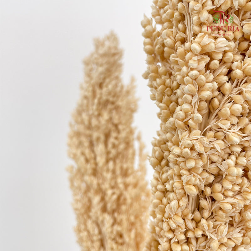 Dry Sorghum - Natural