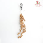 5' U Clump Ilex 35-40cm Gold