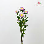 Aster Purple 翠菊 - (Per Bundle)