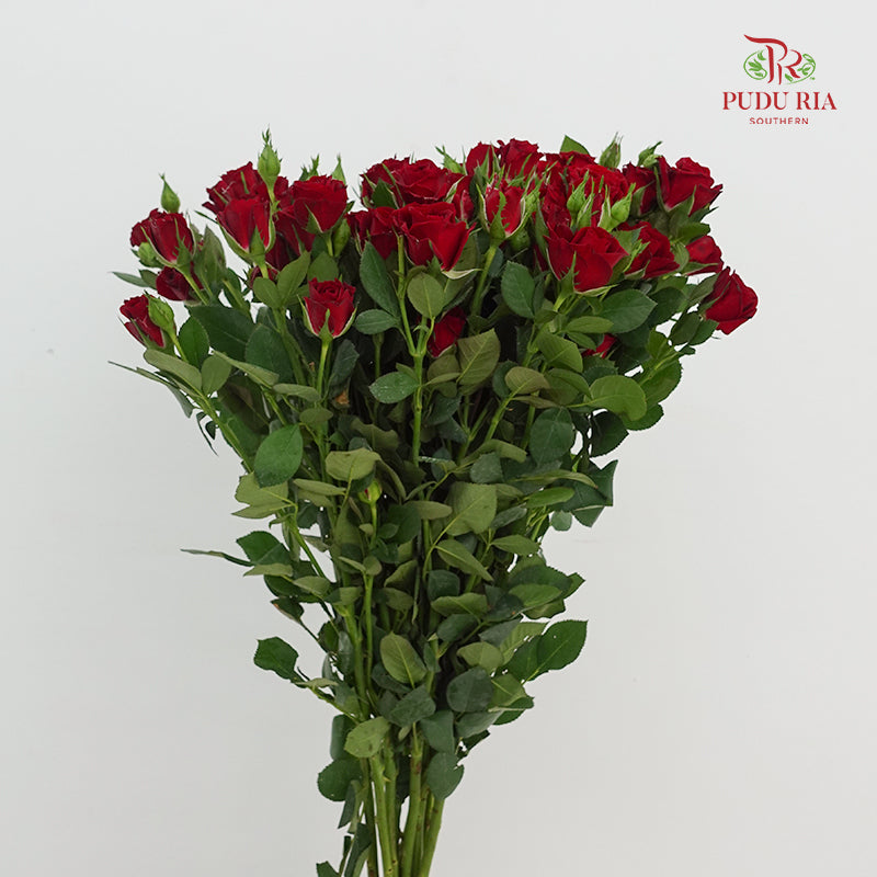 Rose Spray Auspicious Sign - (8-10 Stems)