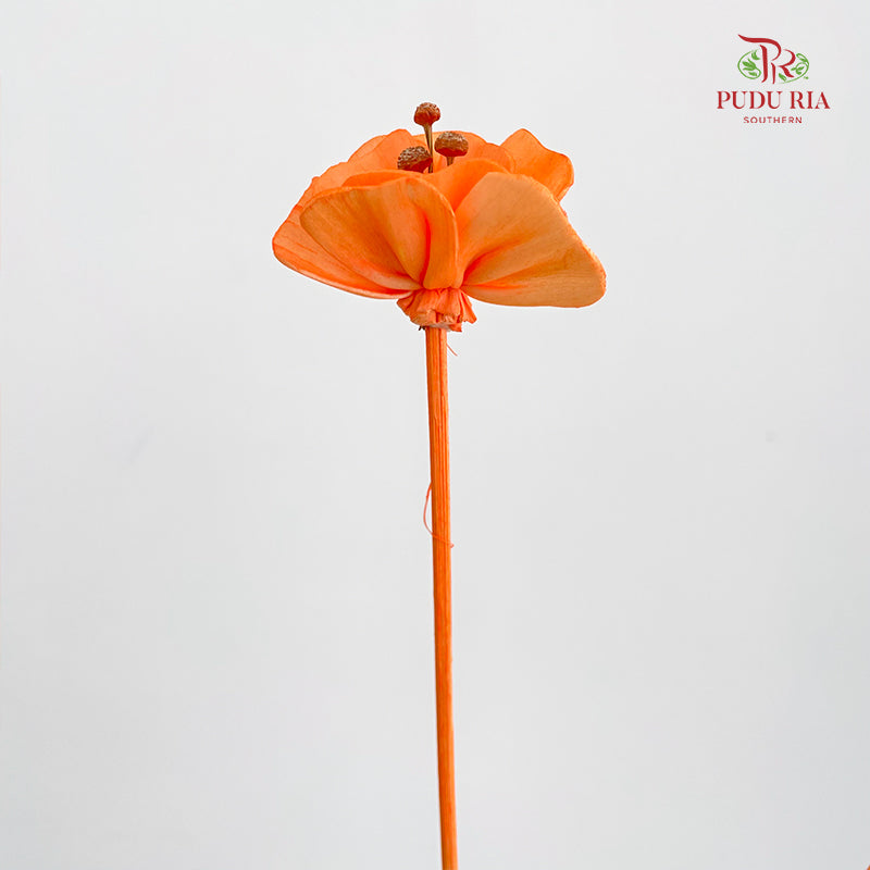 Dry Small Pomegranate Flower - Orange