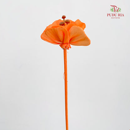 Dry Small Pomegranate Flower - Orange