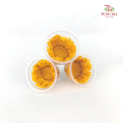 3 Bloom Preservative Sunflower