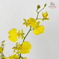 Dancing Lady Yellow Lips (XL) - (Per Bundle)